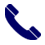 Phone Call Icon